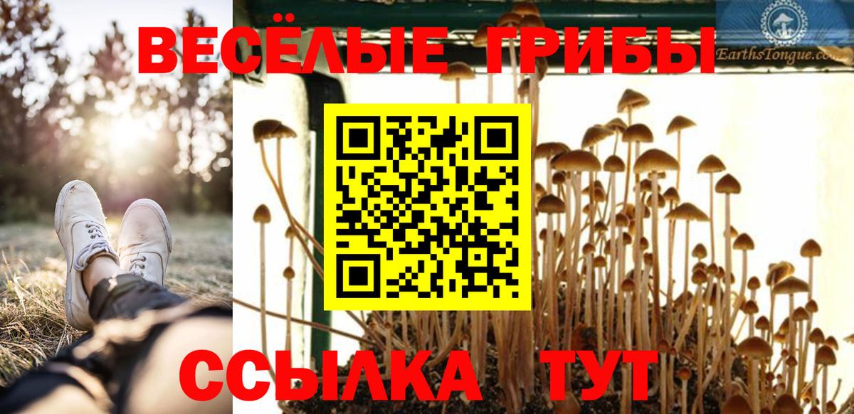 Санкт-Петербург  Псилоцибиновые грибы ЛСД  Вход с VPN  Галлюциногенные грибы ЛСД 